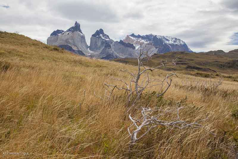 parco nazionale Torres del Paine