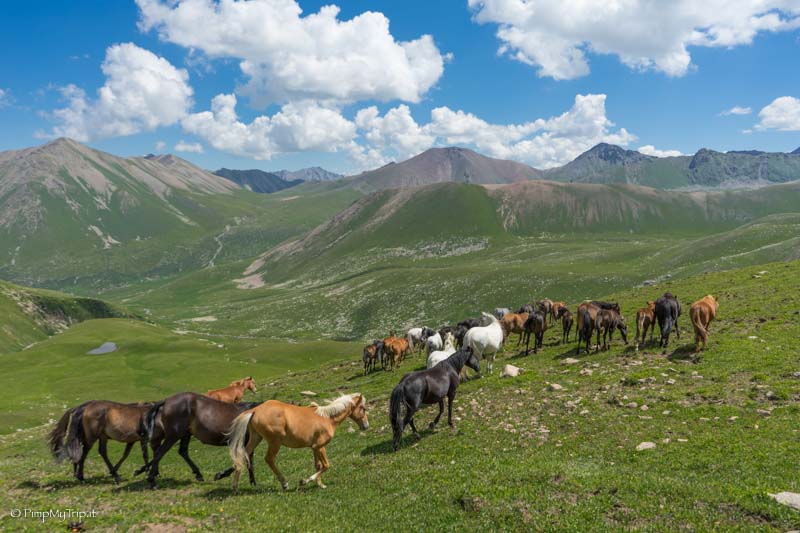 panorama kirghizistan