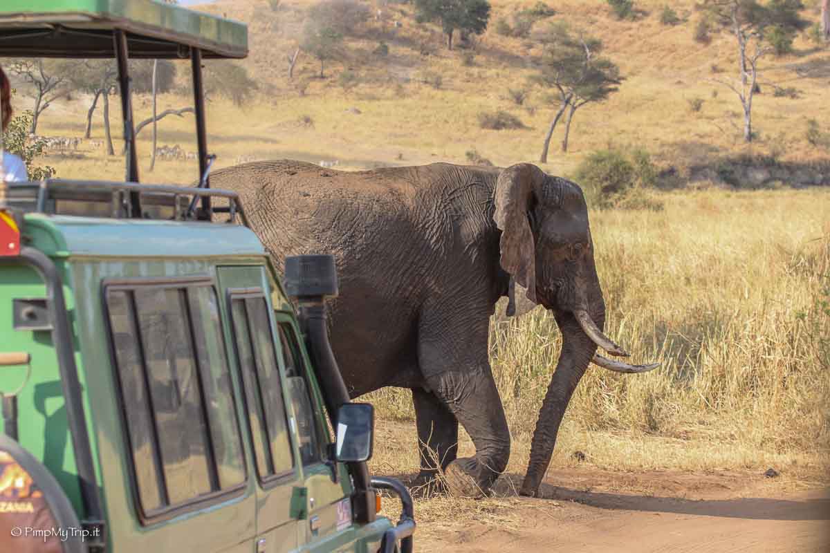 Safari Tanzania self-drive