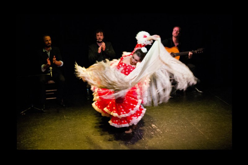 teatro-flamenco-triana