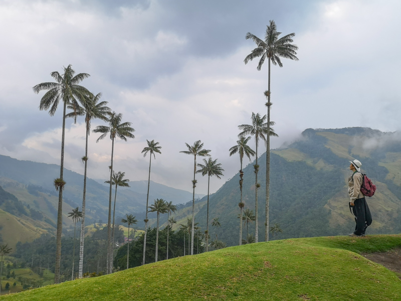 cocora-viewpoint-2