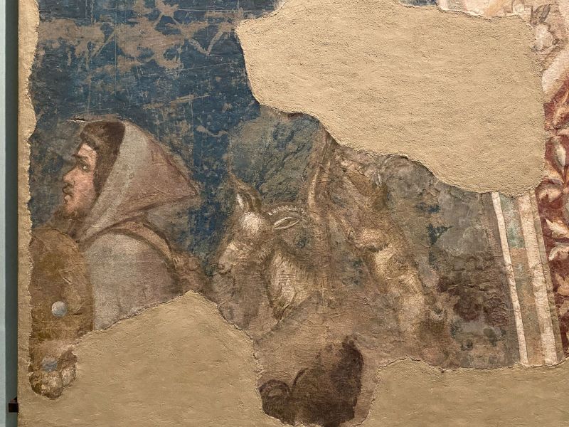 il Pastore con armenti, l'affresco di Giotto nella Galleria dell'Accademia