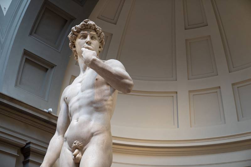 Busto del David di Michelangelo
