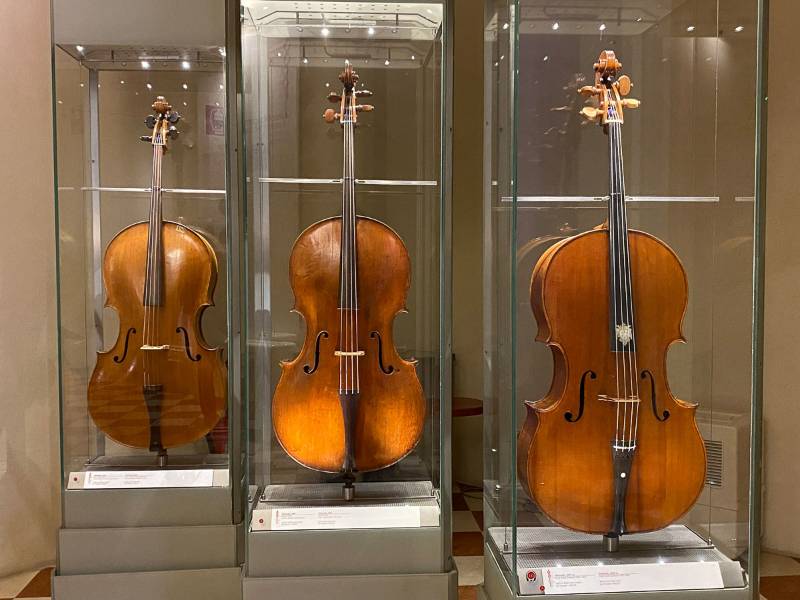 i tre violoncelli medicei esposti all'entrata del Museo degli strumenti musicali