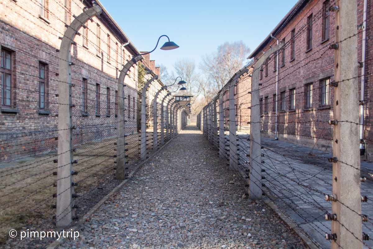 Visita Auschwitz 1 cosa vedere