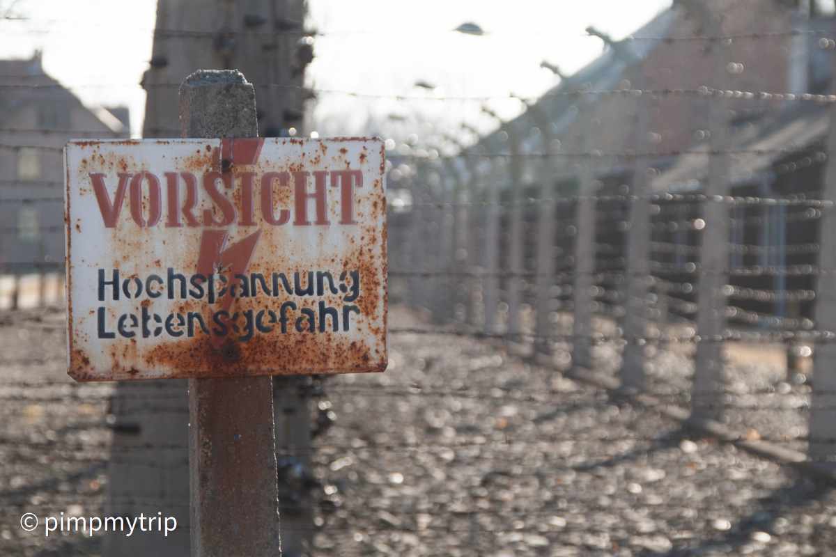 Visita Auschwitz costo e orari