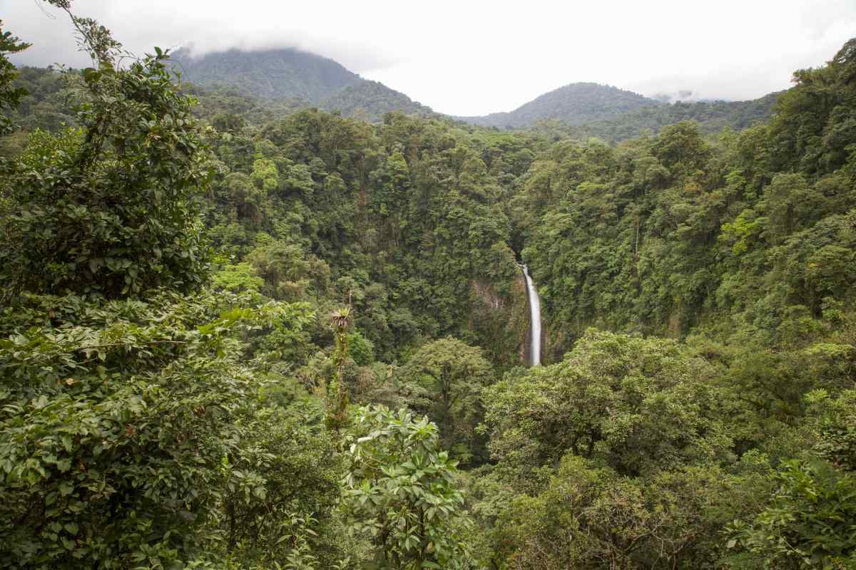 Catarata de la Fortuna Costa Rica