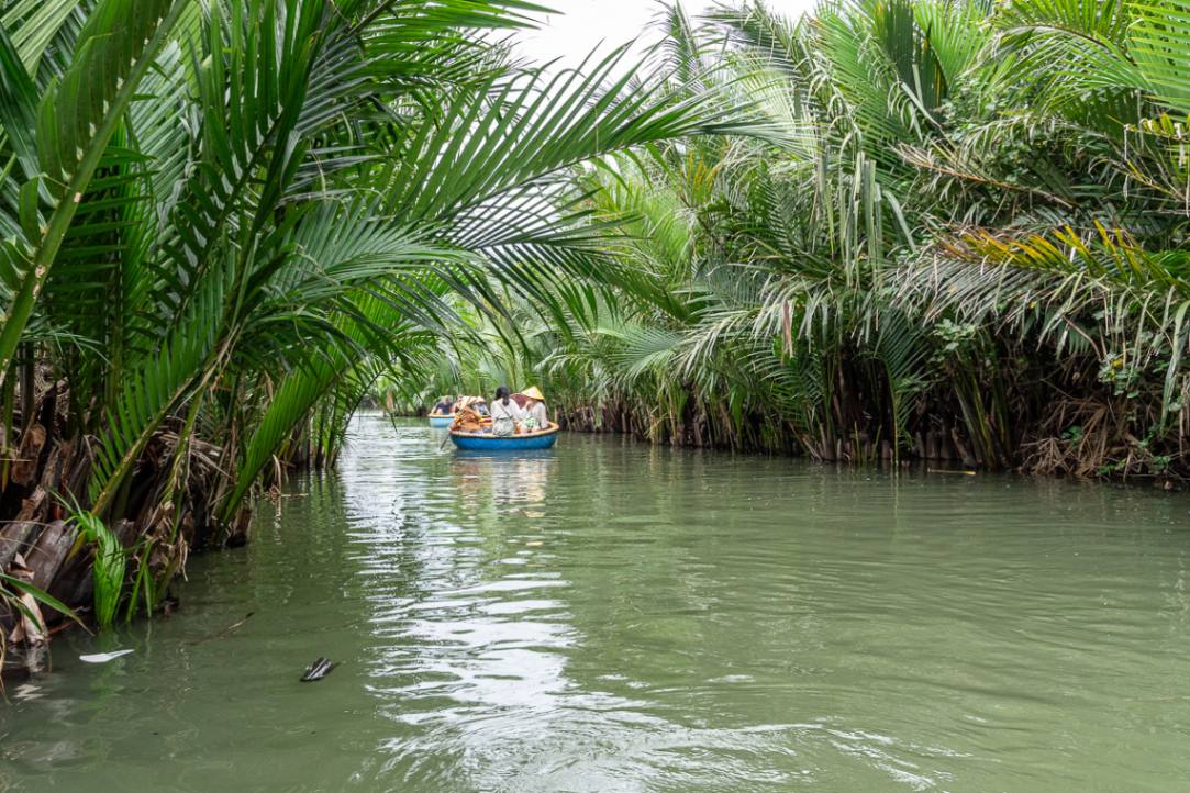 Barca tradizionale rotonda che naviga nella foresta di palme