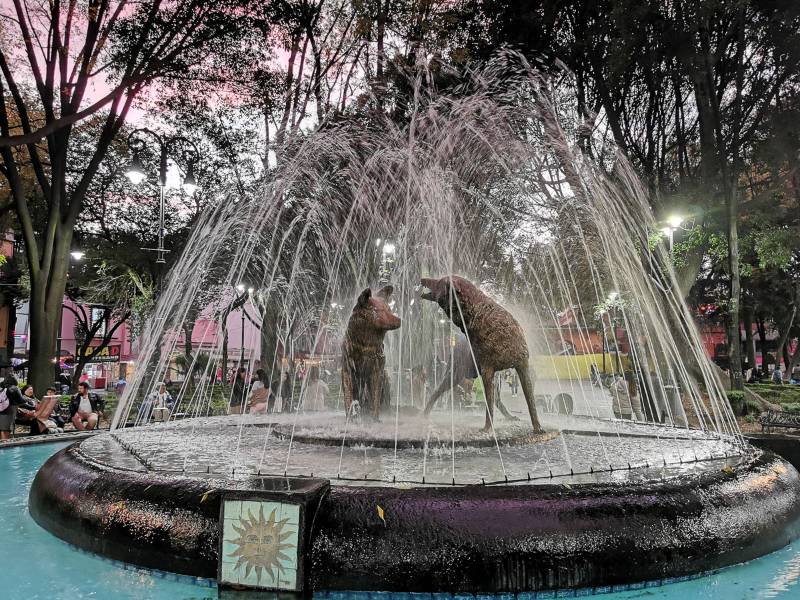La fontana simbolo di Coyoacan coni due coyote nel parco cittadino