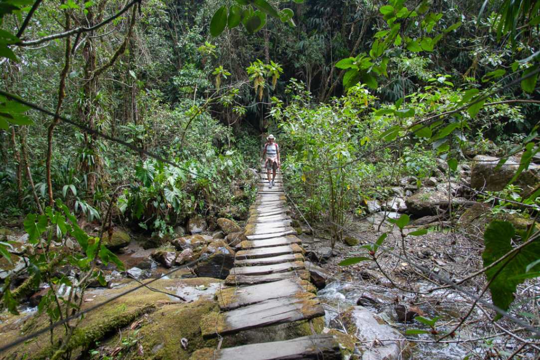 Ponte di legno pericolante su un torrente della Cocora Valley