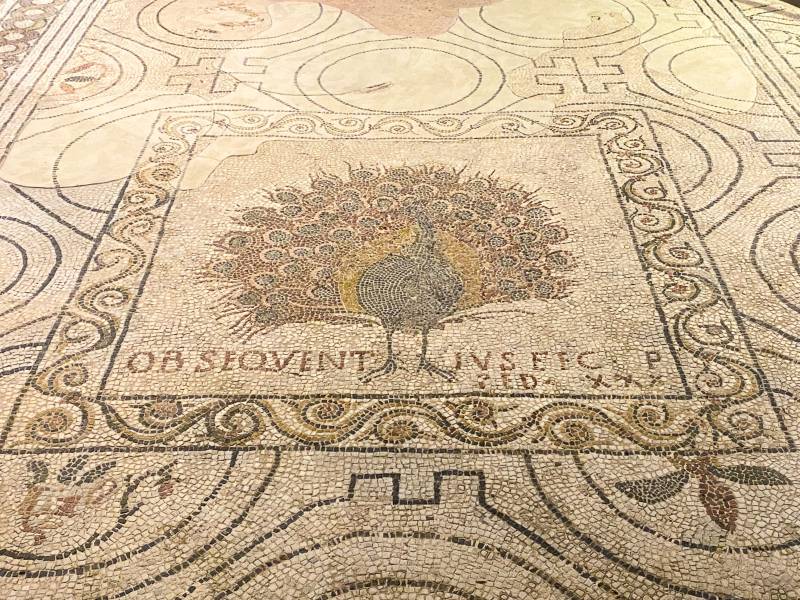 Mosaico del pavone dentro la cripta di Santa Reparata