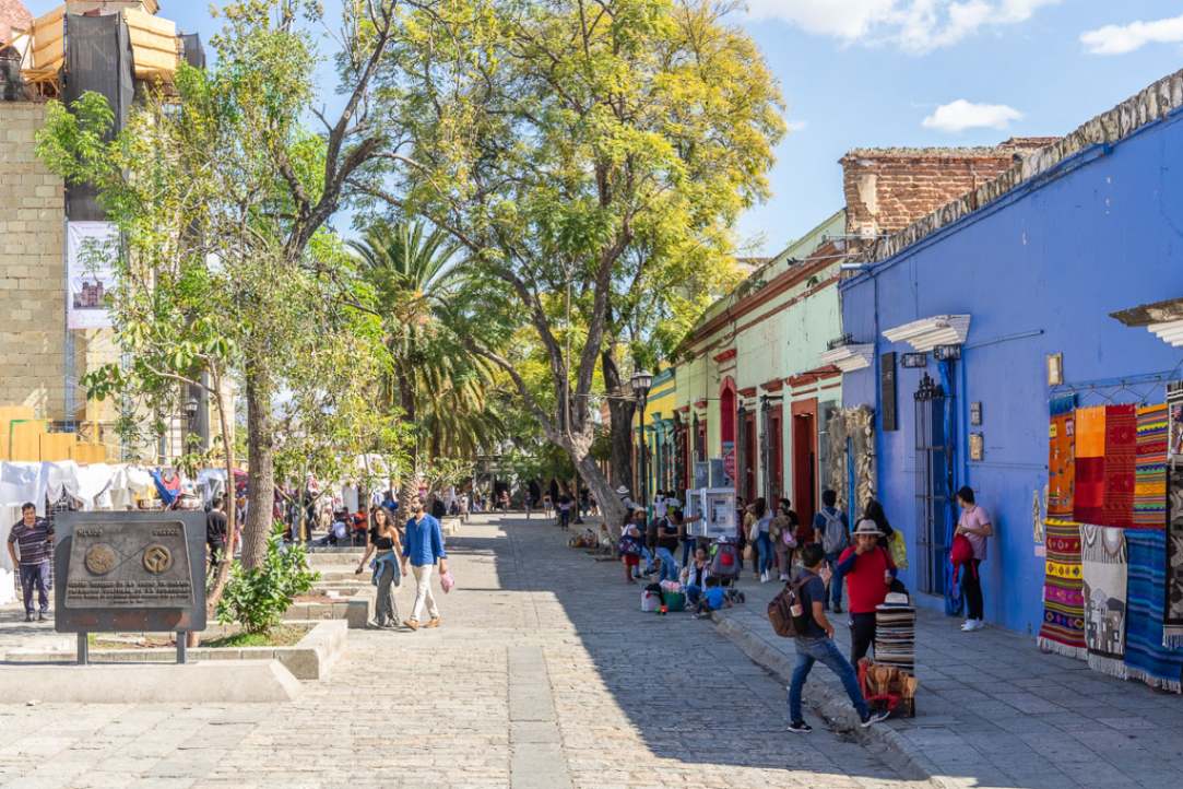 Strada alberata di Oaxaca ci case coloniali
