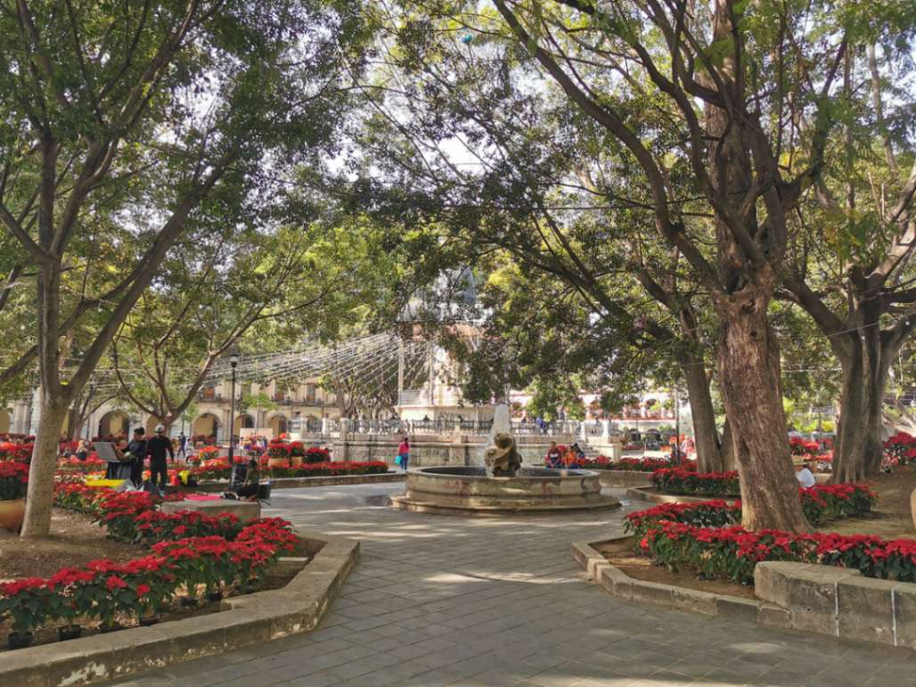 Zocalo di Oaxaca con alberi e fontane